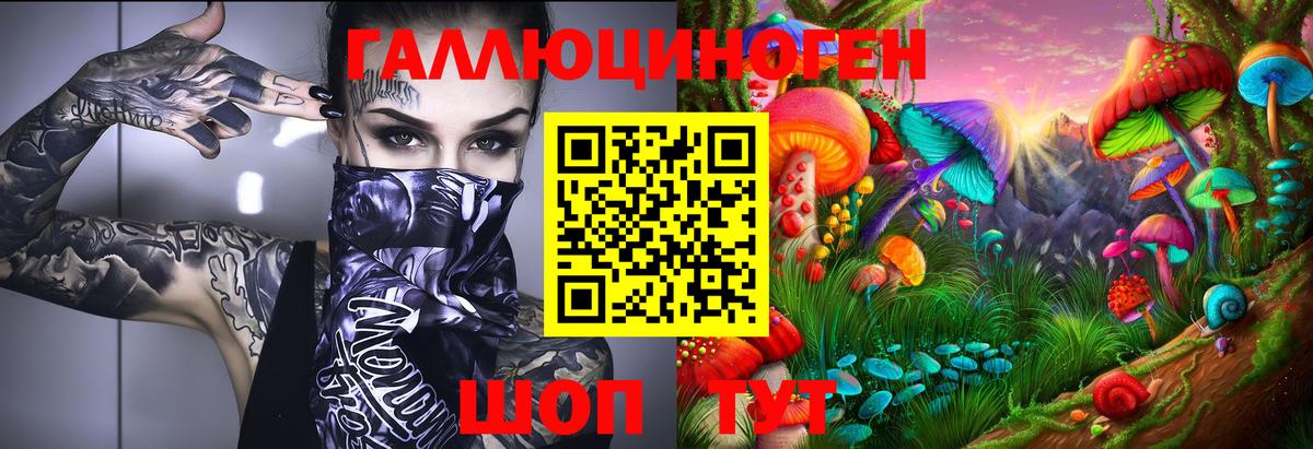 Кизляр  Псилоцибиновые грибы Psilocybe  Вход с VPN 